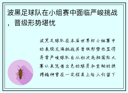 波黑足球队在小组赛中面临严峻挑战，晋级形势堪忧