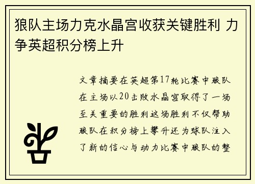 狼队主场力克水晶宫收获关键胜利 力争英超积分榜上升