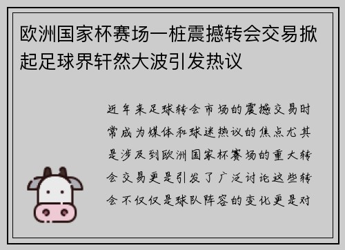 欧洲国家杯赛场一桩震撼转会交易掀起足球界轩然大波引发热议
