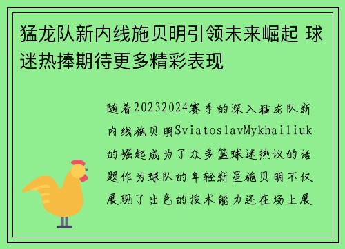 猛龙队新内线施贝明引领未来崛起 球迷热捧期待更多精彩表现