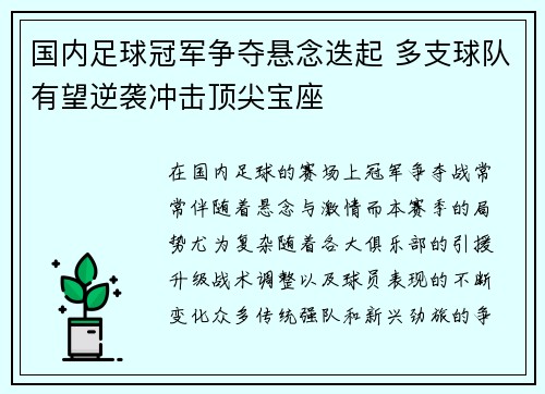 国内足球冠军争夺悬念迭起 多支球队有望逆袭冲击顶尖宝座