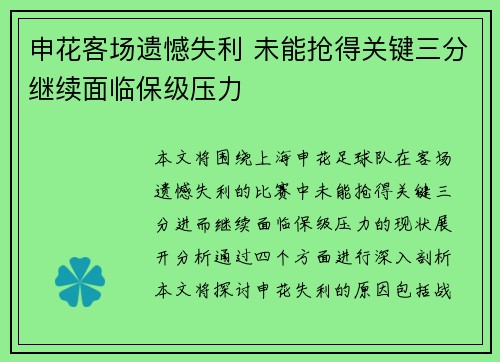 申花客场遗憾失利 未能抢得关键三分继续面临保级压力
